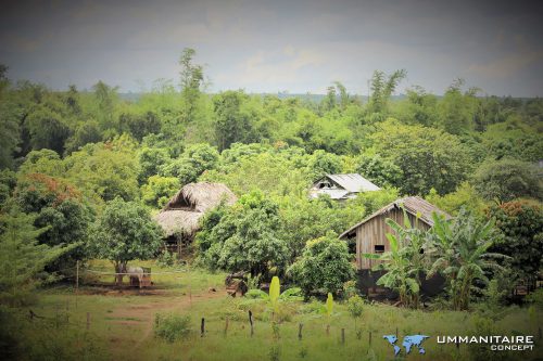 paysage verdure village Asie